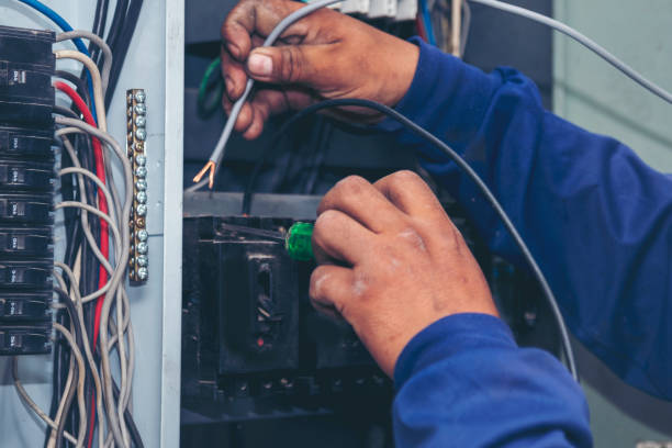 Best Licensed Electrician  in Carey, OH