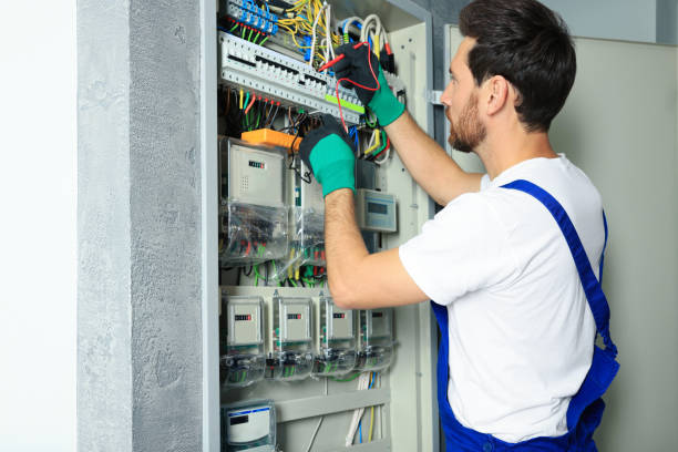 Best Electric Panel Repair  in Carey, OH